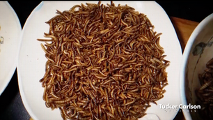 Tucker Carlson Exposed WEF 'Bugs as Food' Agenda Just Days Before Being Fired