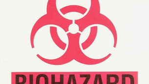 CORONAVIRUS RESPONSE: HAVE WE GOT IT ALL WRONG?