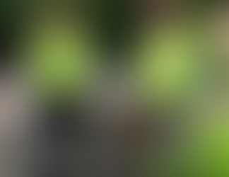 DIP e.V. im Interview mit der Kreissparkasse Steinfurt