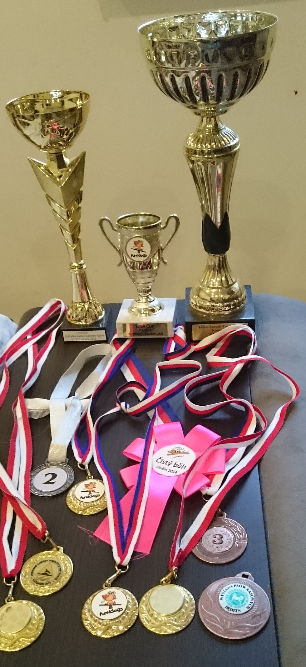 Medale i puchary zdobyte na zawodach