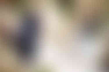 Kin House wedding photography