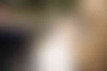 candid wedding photography