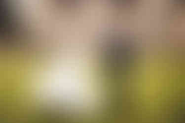 kin house wedding photographer