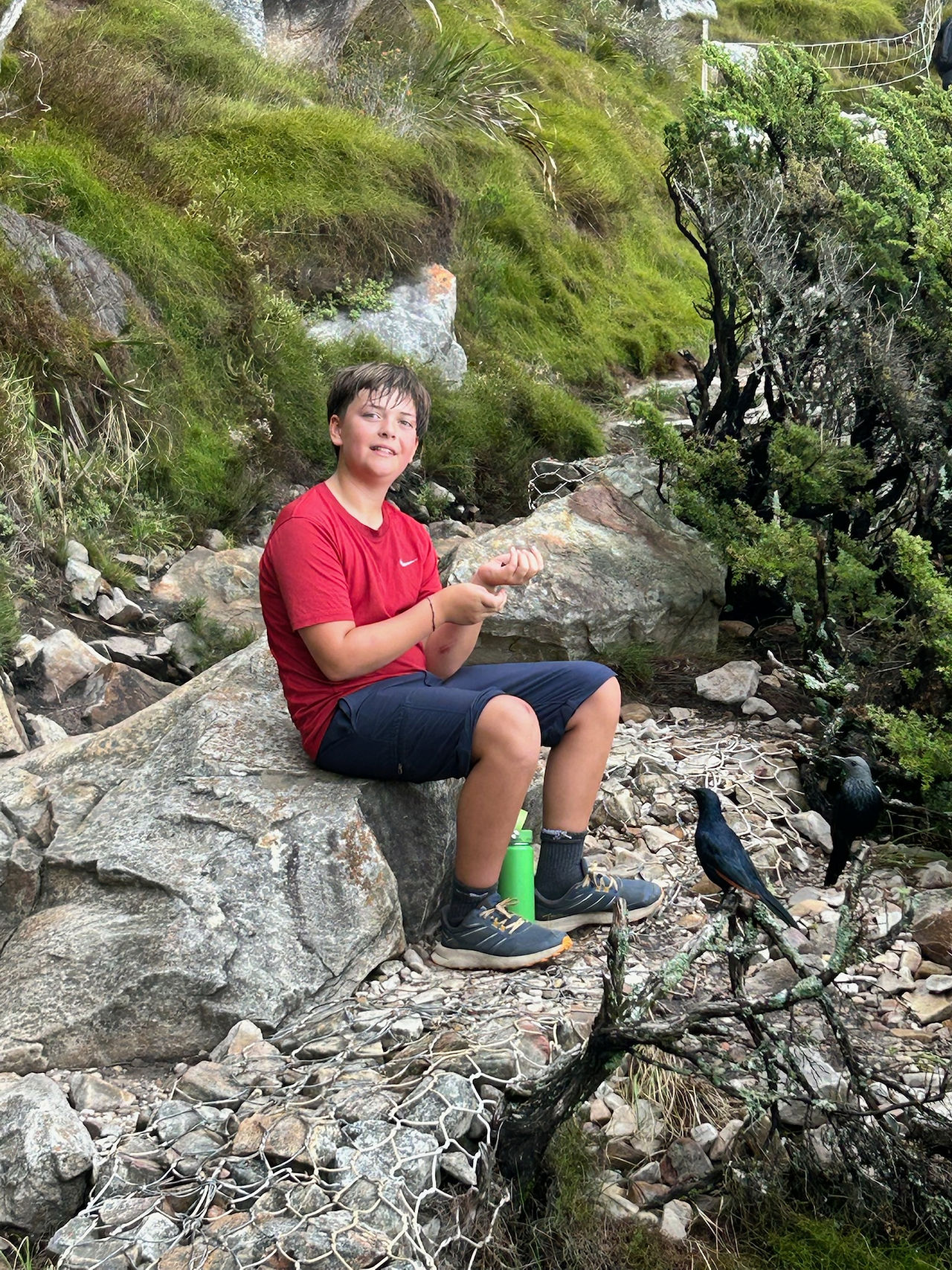Stopped for a snack, Finlay found some birds who were interested