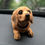 Thumbnail: Adorable Bobble Head Dogs: 9 Variants!