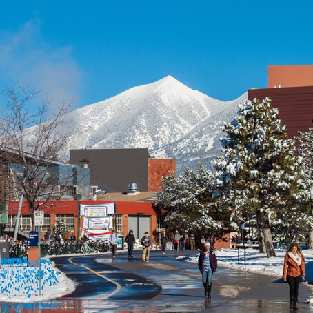 Top 5 Activities to do in Flagstaff