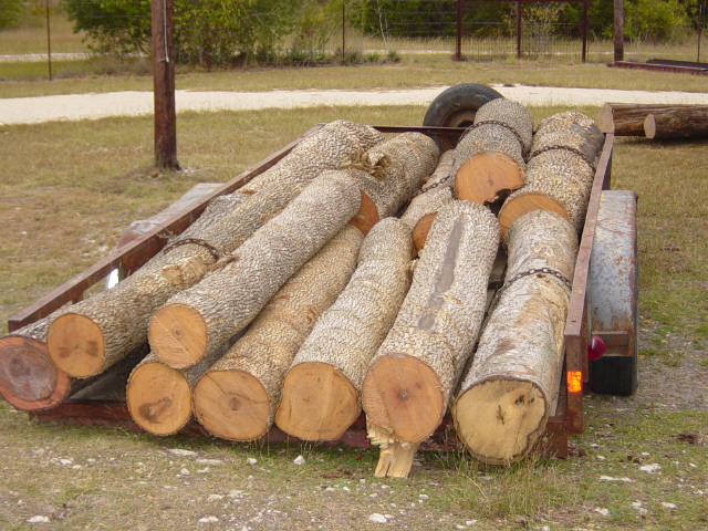 logs, ash58.jpg