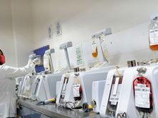 Exhorta SSM a donar sangre de manera altruista