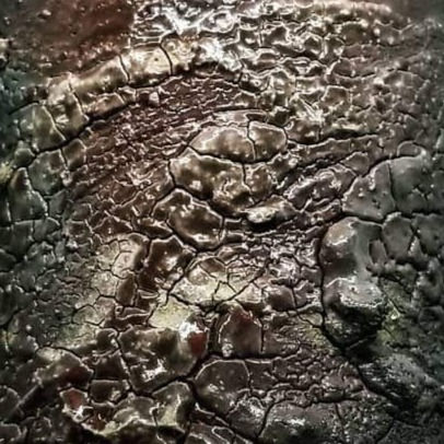 dragon scales
