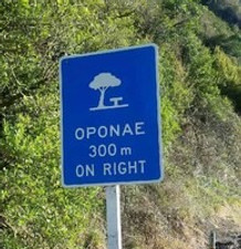 Highway sign in the Waioeka Gorge