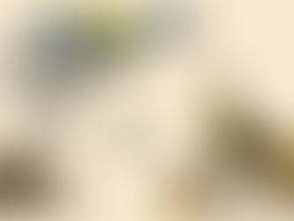 Bugs, Features, Changes – Aug 2025