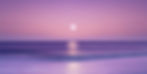 the ocean meets a soft purple sky with the moon rising.jpg