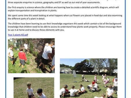 Year 3 Weekly Letter 17/06/2022