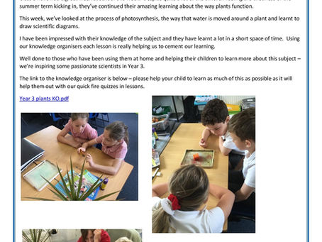 Year 3 Weekly Letter 24/06/2022