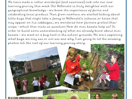 Reception Weekly letter 19/05/2023