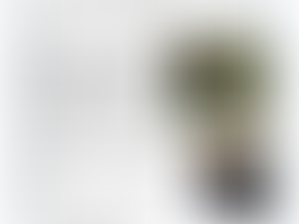 Year 3 Weekly Letter 28/05/2021