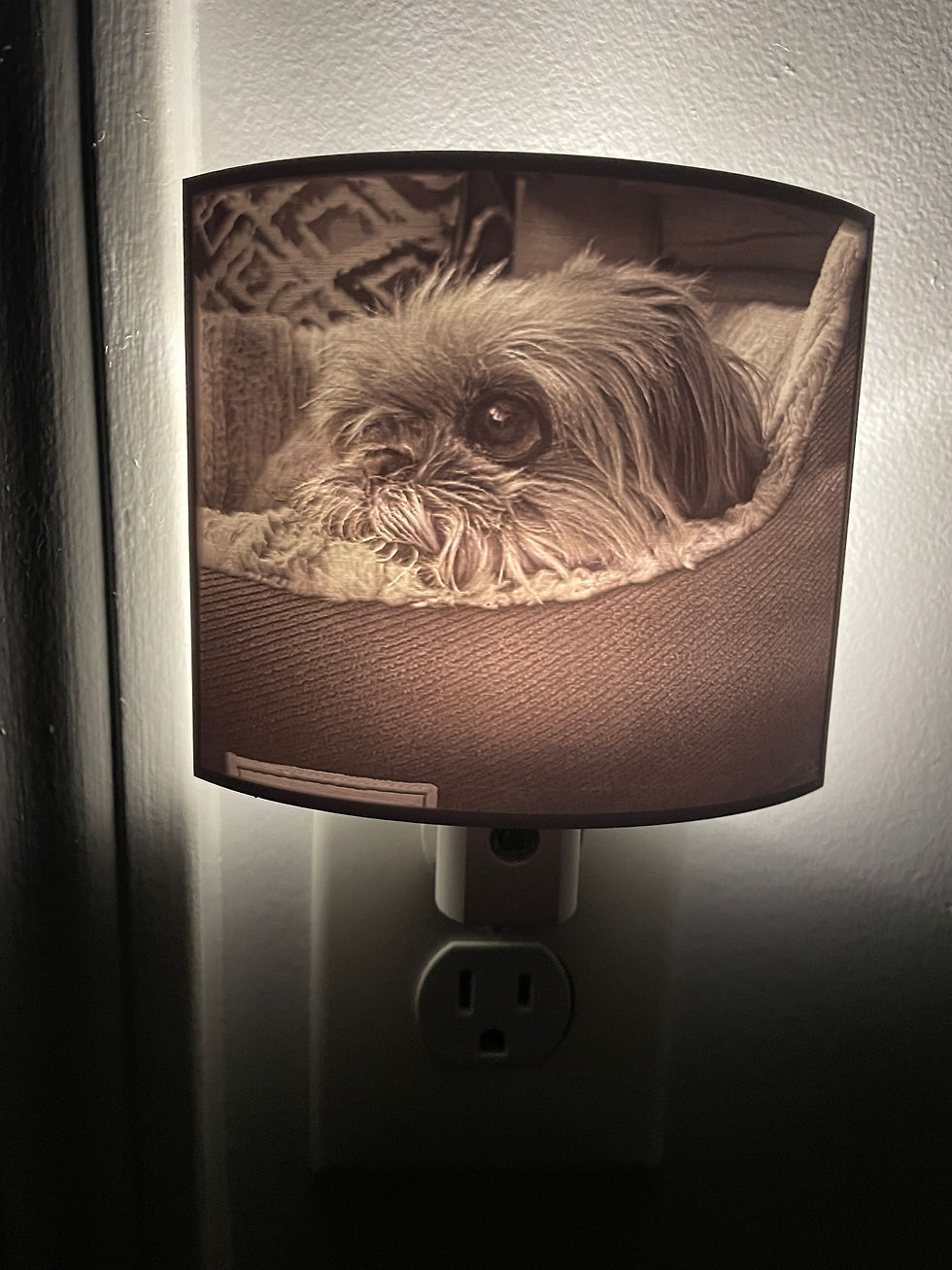 Thumbnail: Memory Makers 3D Printed Lithophane Nightlight