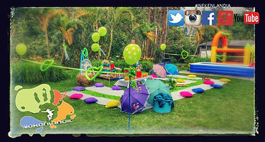 Paquete Picnic Aventura