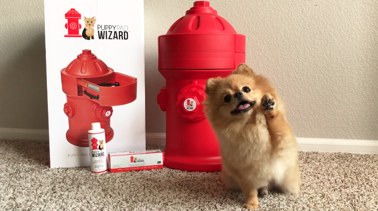 fire hydrant puppy pad