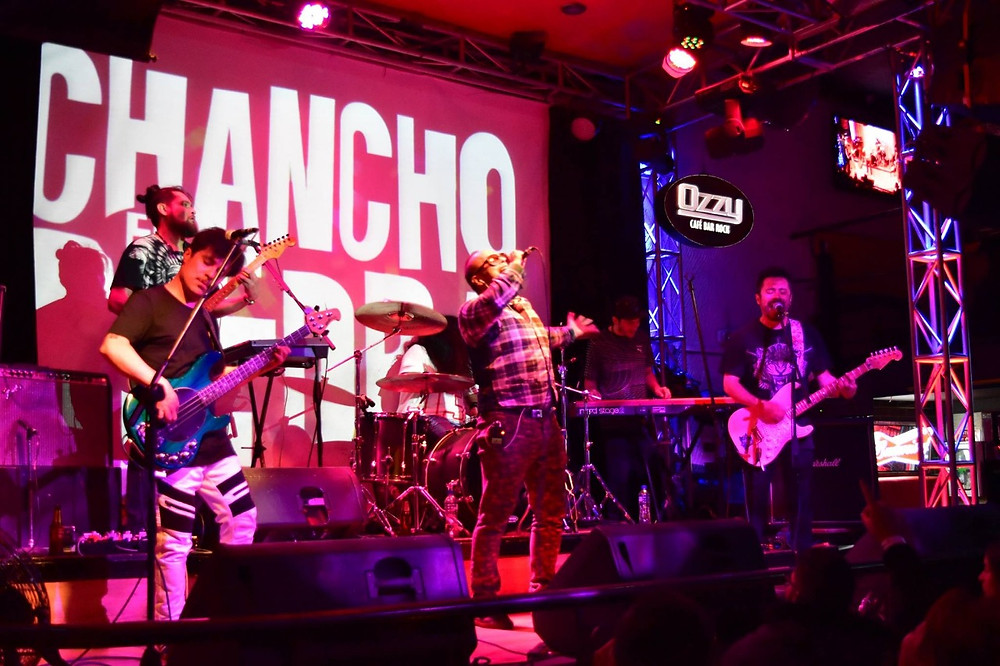 Chancho en Piedra en Bogotá. Fotografía: Itinerante.