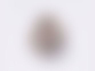 Cachicamo regresa con “Voz del río”, un canto espiritual hacia lo esencial