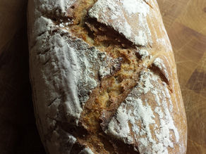 What is a greenhouse gas? Or, why climate change and bread have more in common than you think.