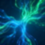 reseau neurones copie.jpg