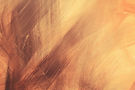 Abstract brush strokes in warm shades of orange and brown.