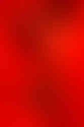 UPSCALED-IMG_6472