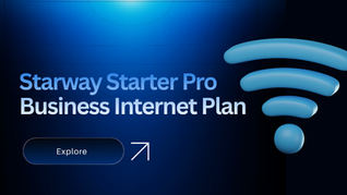 Starway Starter Pro Business Internet Plan