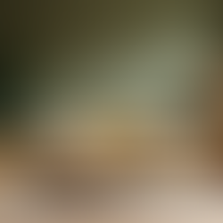 Embracing Earthy Elegance The Rise of Olive and Moss Green in 2026 Interior Design