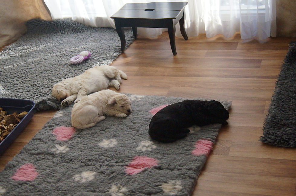 Schlafen ist soo schön.