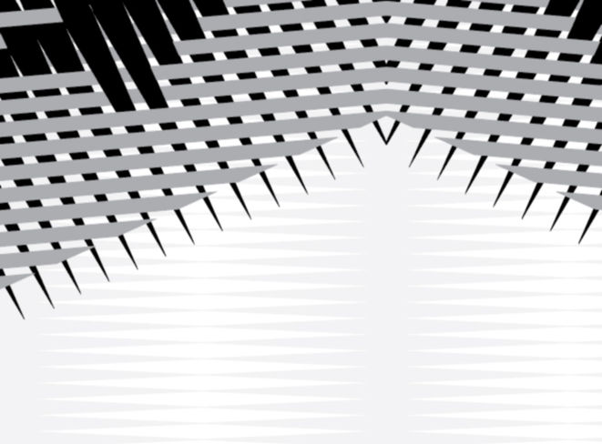 print screen jacquard shirt  fabric textile