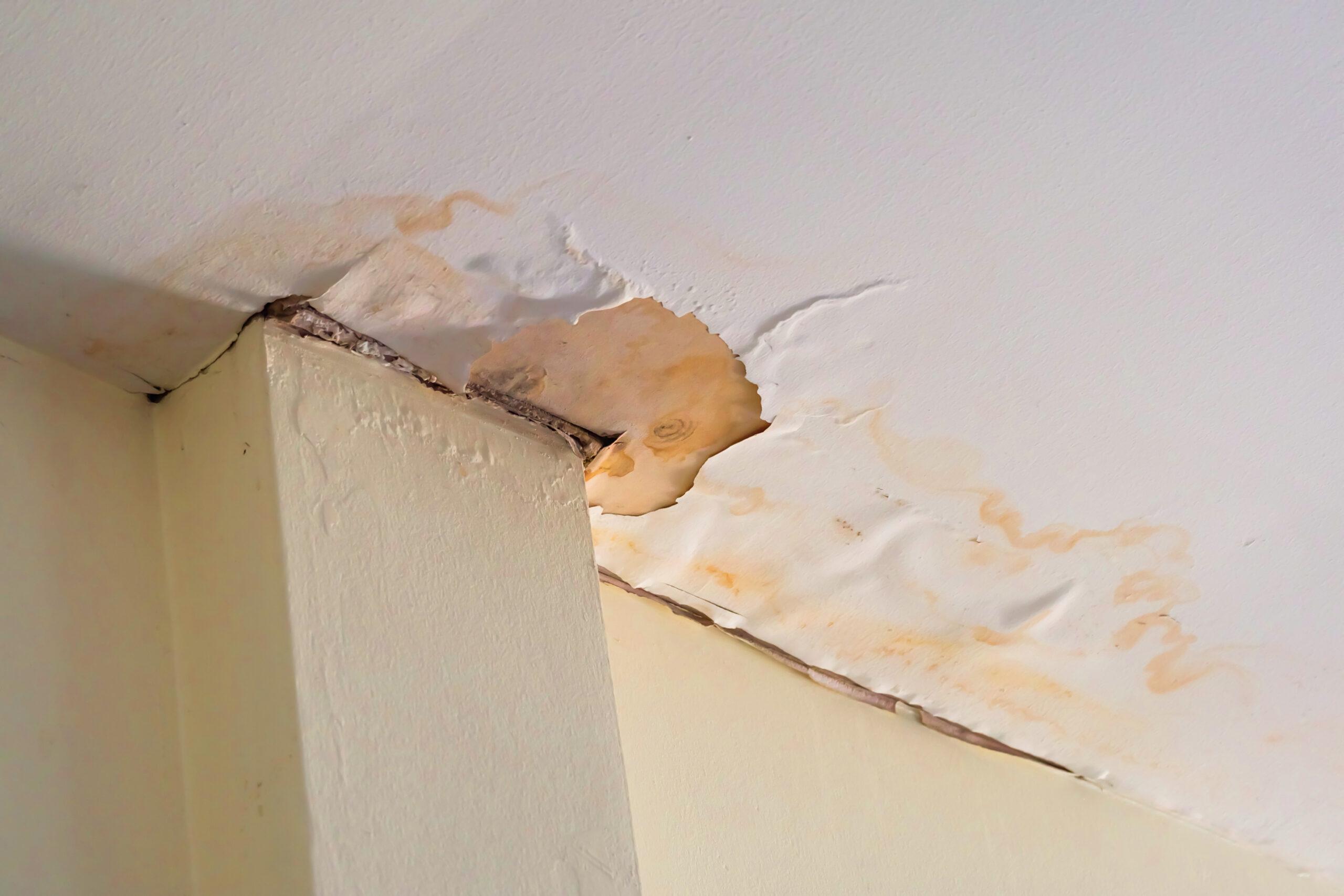 Water damage and brown stains on a ceiling from roof defects
