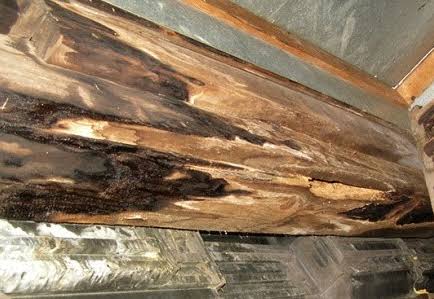 Water-damaged and rotting wooden roof beam
