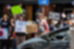 Hundreds showed up to the protest with signs, kids and dogs - Photo By Derek Bratton