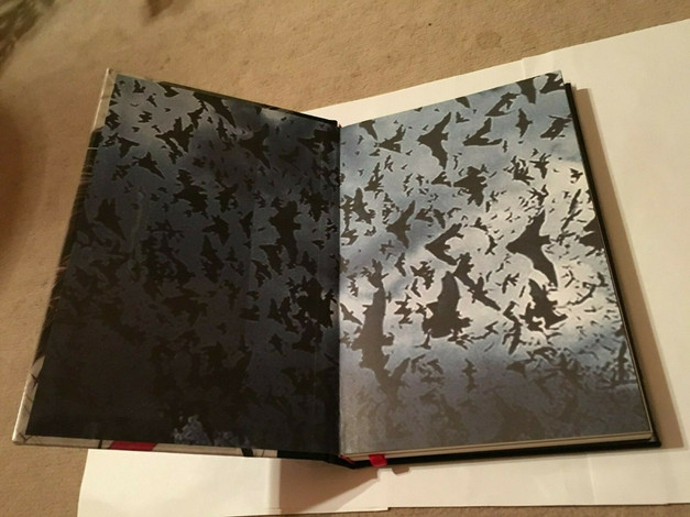 nosferatu_endpapers.jpeg