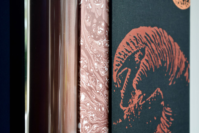 dsc_0118.jpeg
