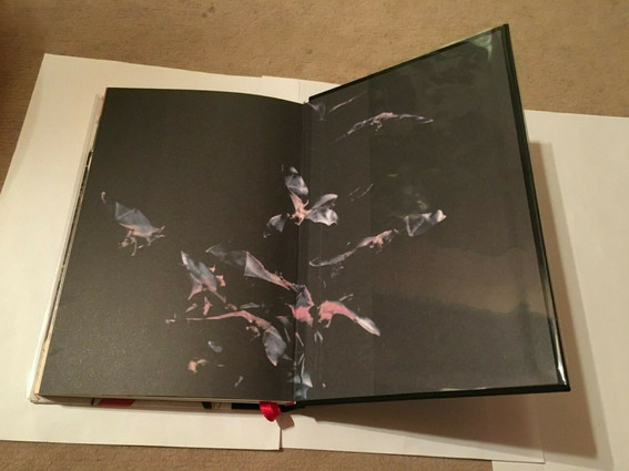 nosferatu_endpapers2.jpeg