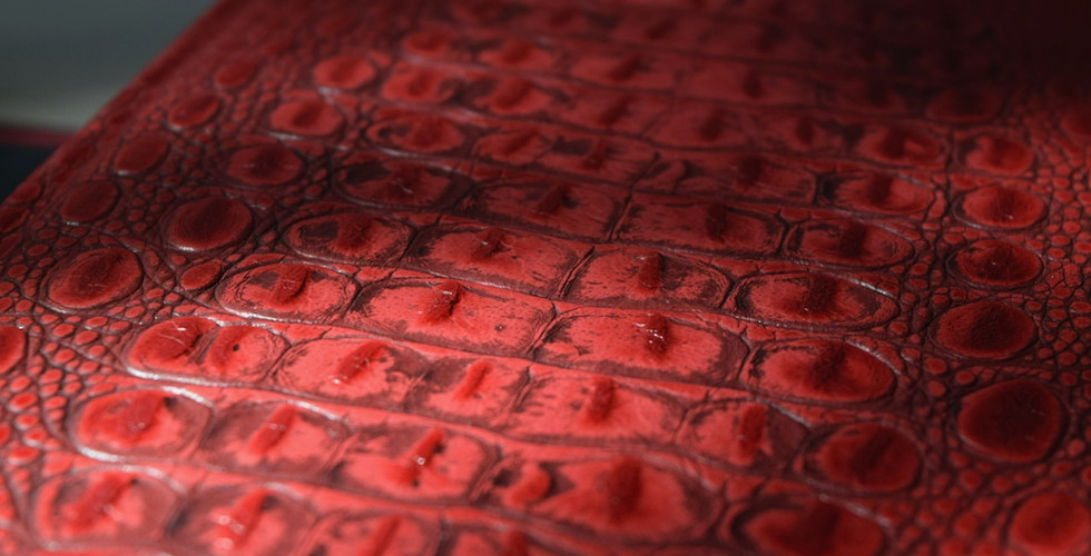Red Dragon lettered Suntup Editions - detail of the hornback leather