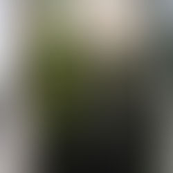 Lord of the Rings Centenary edition with John Howe cover