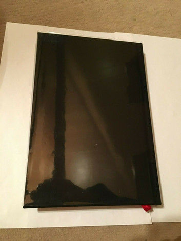nosferatu_rearboard.jpeg
