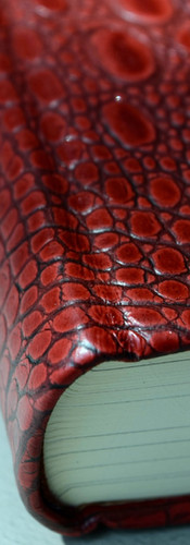 Red Dragon lettered Suntup Editions - detail of the binding