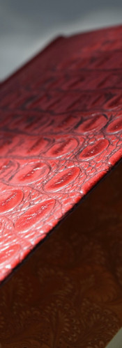 Red Dragon lettered Suntup Editions - detail of the binding