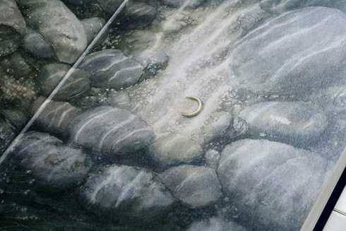 Folio Society limited edition: The Lord of the Rings (2022)
