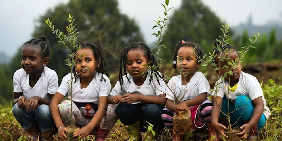 Ethiopia's Green Legacy Historic Day of Planting
