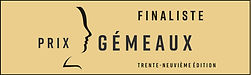LOGO_FINALISTE_9-16_edited_edited.jpg