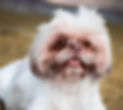erick-e-SqV-_kpS5EI-unsplash_edited_edit