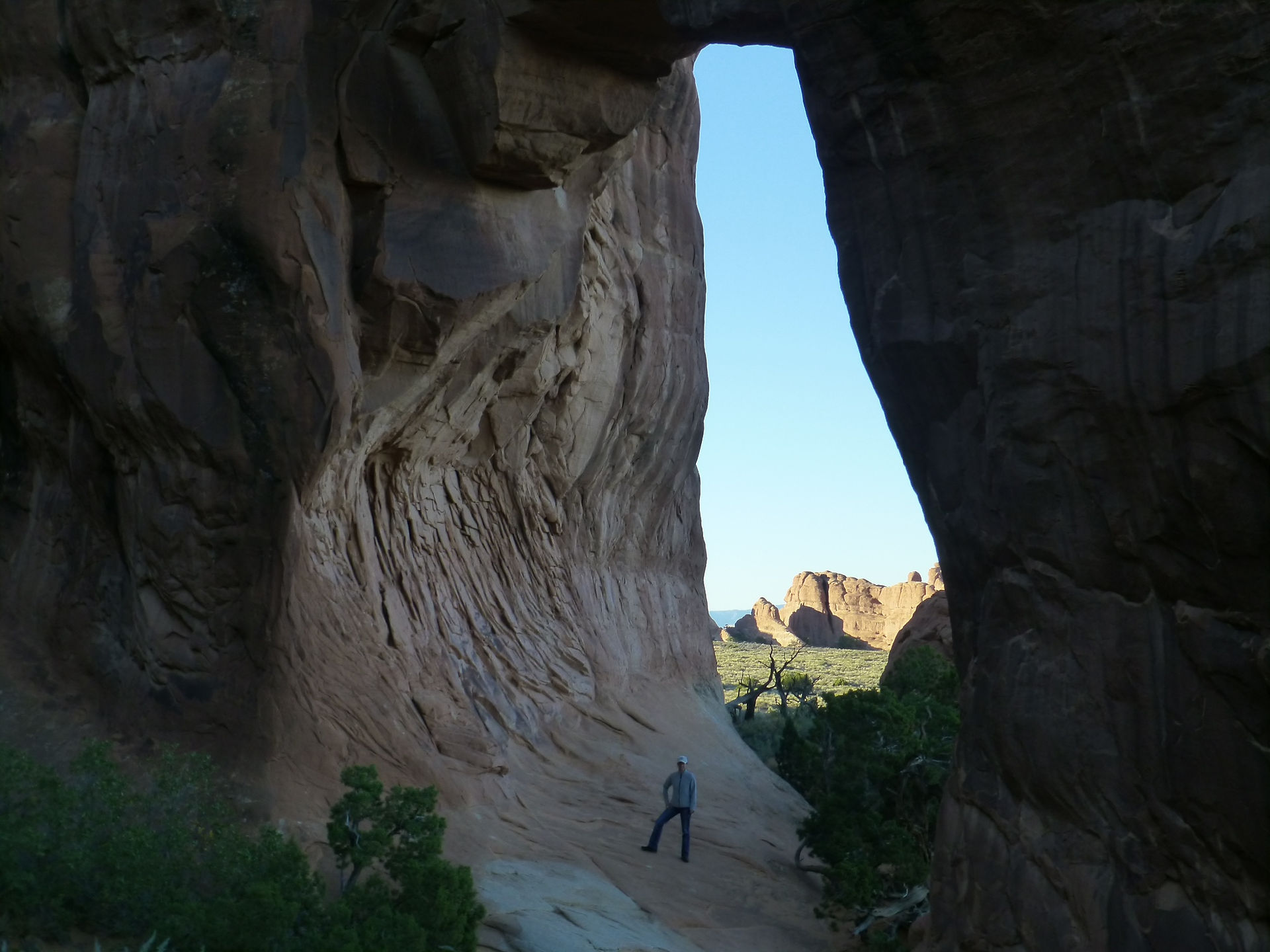 Pine Tree Arch