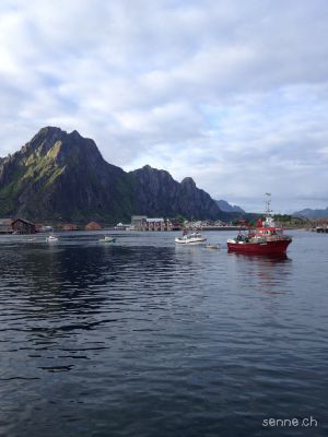 Svolvaer Lofoten